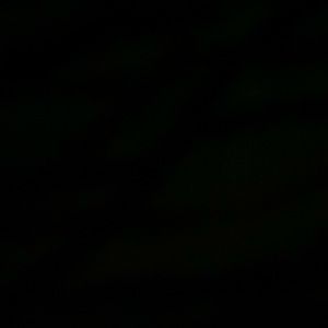 Meet your Posher, Jarrod